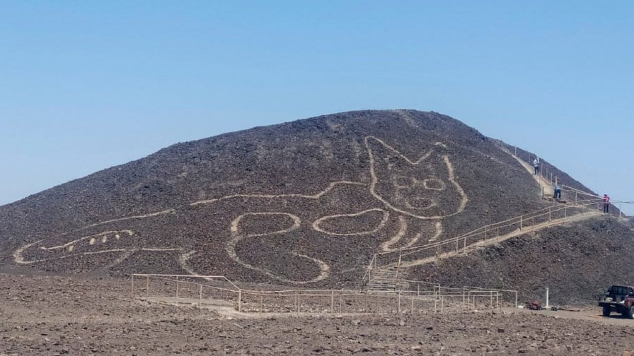 Hình một con mèo được chạm, khắc trên một mặt đồi