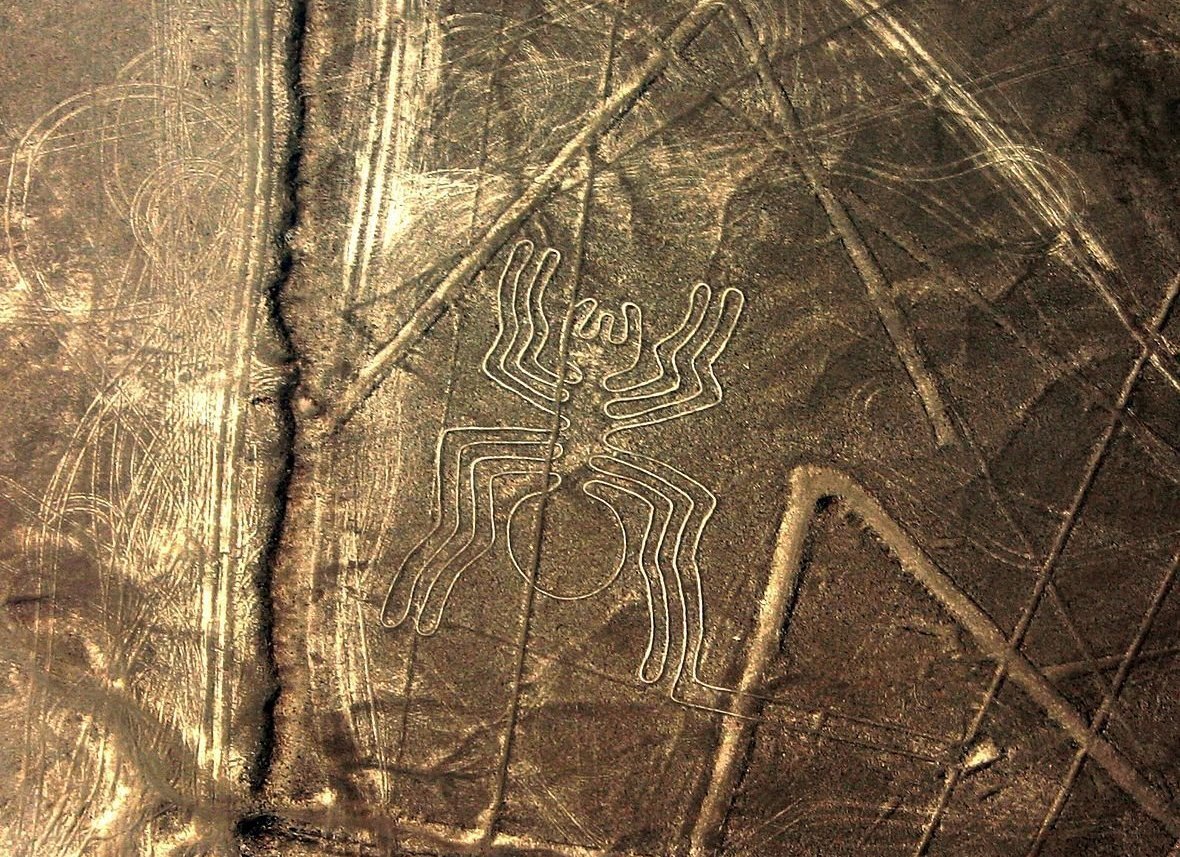 Có đến 140 hình chạm, khắc được tìm thấy tại sa mạc Nazca