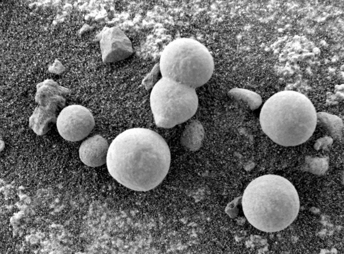 Liệu đây có phải là hình ảnh của nấm trên Sao Hỏa?
