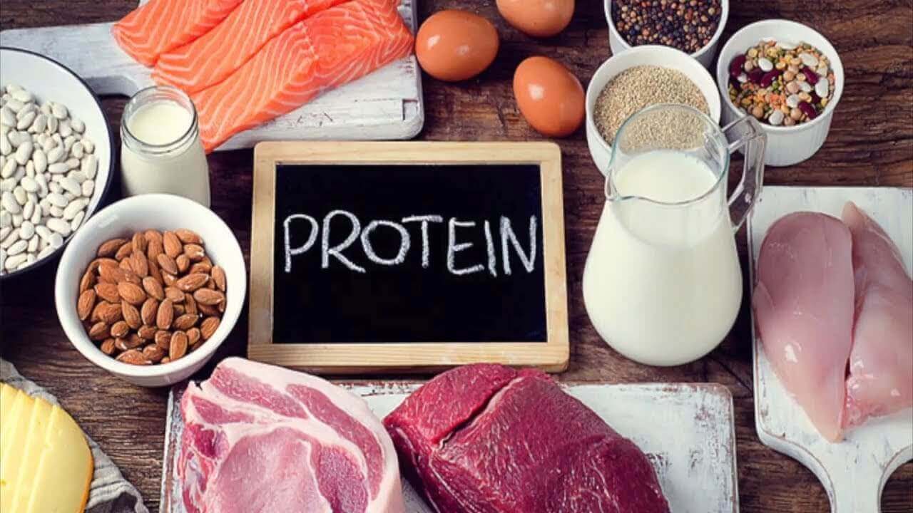 Chất đạm (protein)